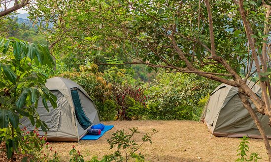 Nyungwe Forest National Park